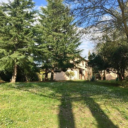 Agriturismo Bethsaid Fauglia Exteriér fotografie