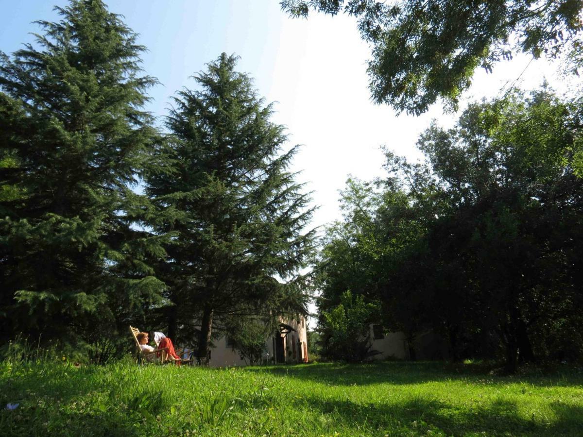 Agriturismo Bethsaid Fauglia Exteriér fotografie