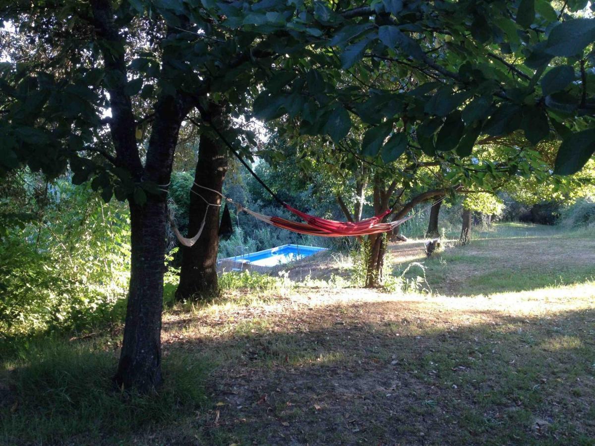 Agriturismo Bethsaid Fauglia Exteriér fotografie