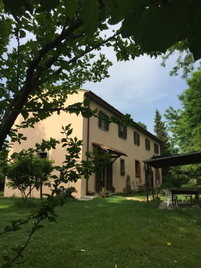 Agriturismo Bethsaid Fauglia Exteriér fotografie