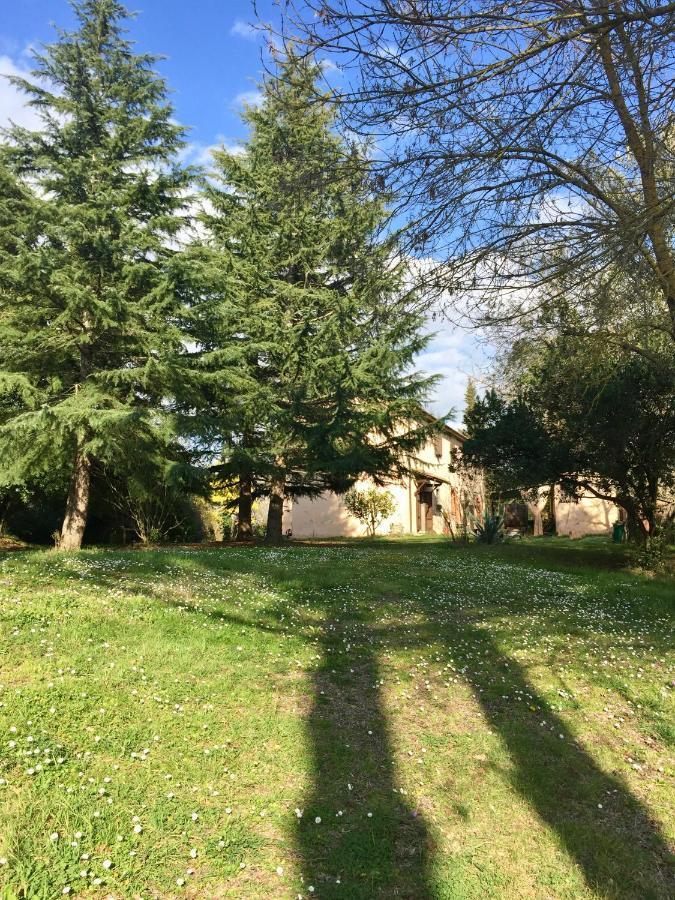 Agriturismo Bethsaid Fauglia Exteriér fotografie